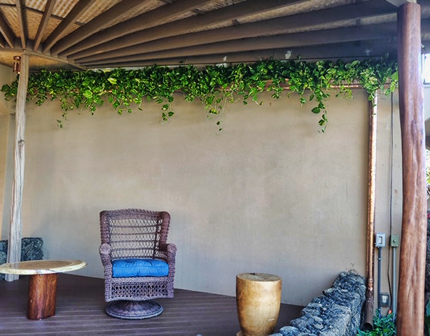 A Living Wall with Copper Gutters